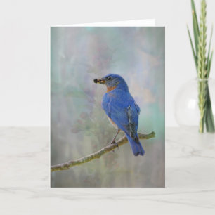 Cartão De Festividades Bluebird Watercolor