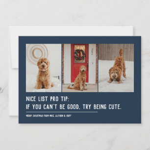 Cartão De Festividades Boa lista animal engraçado três fotos azul Natal