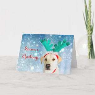 Cartão De Festividades Boas-vindas da temporada Pet Labrador Cachorro Fes