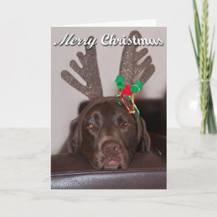 Cartão De Festividades Bobo Natal Labrador Com Banheiras Festivas