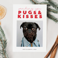 Bois e beije Engraçado Cachorro Engraçado Natal