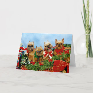 Cartão De Festividades Bolsa de Natal para o Griffon