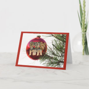 Cartão De Festividades Bolsa de natal Yorkshir Terrier