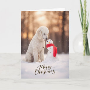 Cartão De Festividades Boneco de Neve de Natal de Poodle Branco