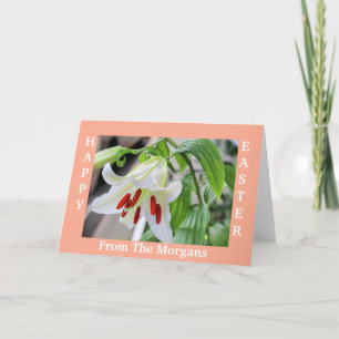 CARTÃO DE FESTIVIDADES BONITA PLACA DE FELZ PASCOA BRANCO LILY