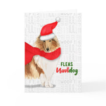 Bonito Natal Collie Fleas NaviDOG