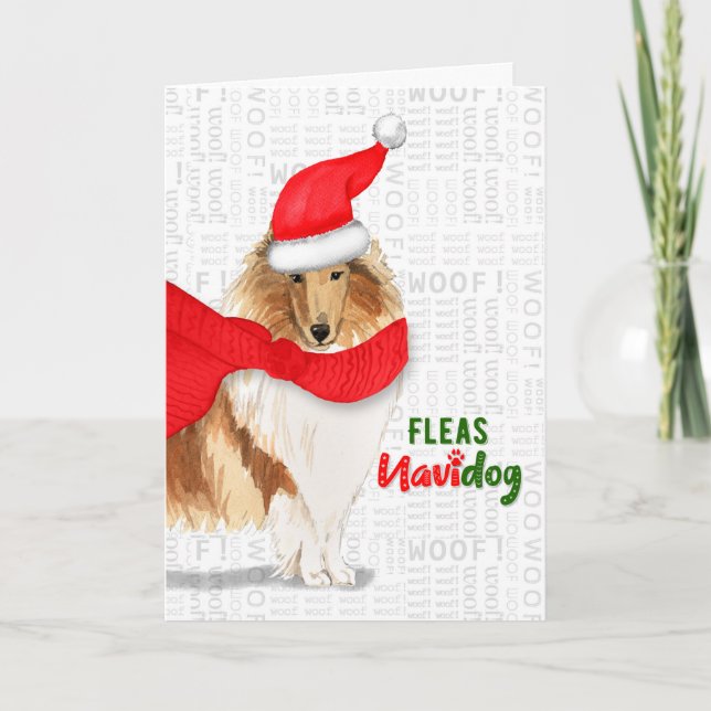 Cartão De Festividades Bonito Natal Collie Fleas NaviDOG (Frente)