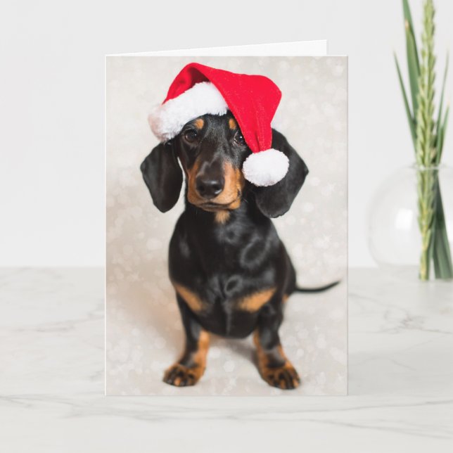 Cartão De Festividades Bonito Sparkle Dachshund Puppy vestindo chapéu de  (Frente)