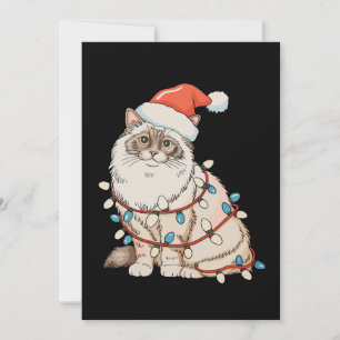 Cartão De Festividades Bônus de Natal Gatinho Fofo Chapéu do Papai Noel L