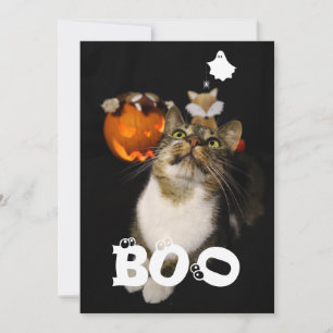 Cartão De Festividades Boo Halloween Pet Fantasma Aranha Olhos Foto