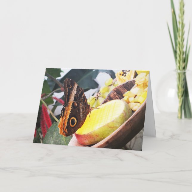 Cartão De Festividades Borboleta de coruja (Frente)