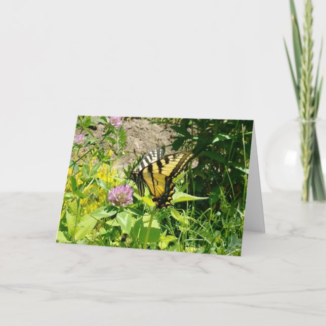 Cartão De Festividades Borboleta Tigre Swallowtail - Ao Fechar (Frente)