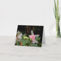 Borboletas amarelas em folhas tropicais