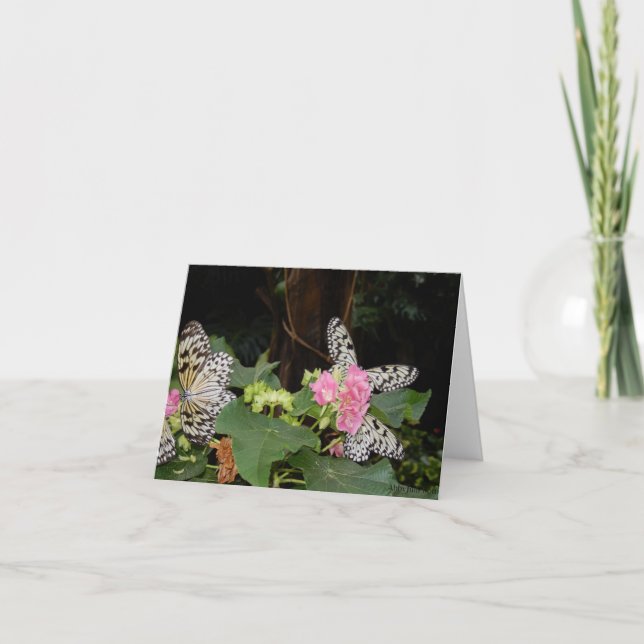 Cartão De Festividades Borboletas amarelas em folhas tropicais (Frente)