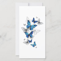 Borboletas Azuis Morpho