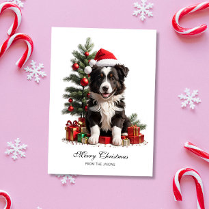 Cartão De Festividades Borda Sorridente Collie Natal Puppy Personalizado