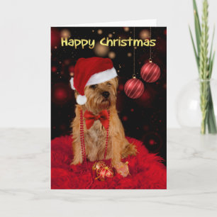 Cartão De Festividades Borda Terrier Dog Num Papai Noel Feliz Natal