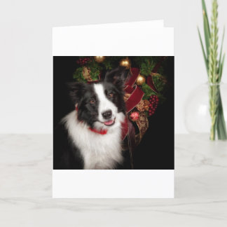 Cartão De Festividades Border Collie Christmas