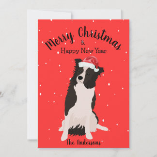 Cartão De Festividades Border Collie Christmas
