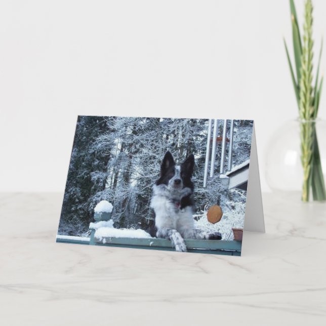 Cartão De Festividades Border Collie Christmas Card (Frente)