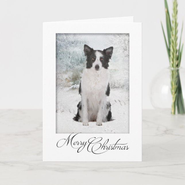 Cartão De Festividades Border Collie Christmas Card (Frente)
