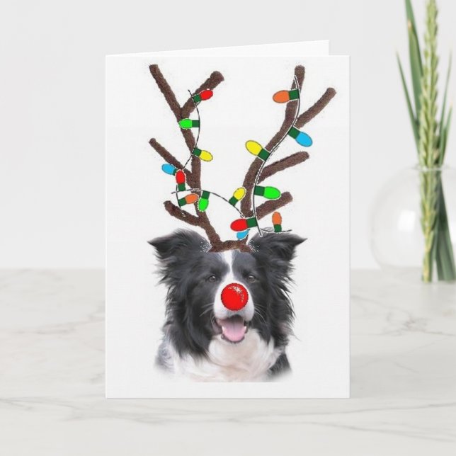 Cartão De Festividades Border Collie Christmas Card~Rudolph (Frente)