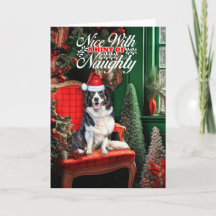 Border Collie Christmas Dog Naughs ou Nice