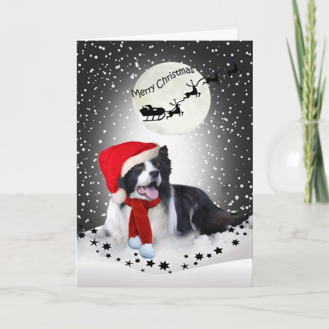 Cartão De Festividades Border Collie Christmas Sharing (Frente)