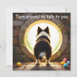 Cartão De Festividades Border Collie dog - com Nome da Família