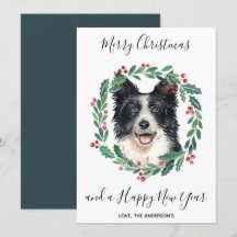 Border Collie Dog Elegante Feliz Natal