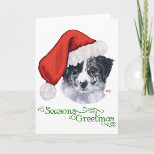 Cartão De Festividades Border Collie Natal