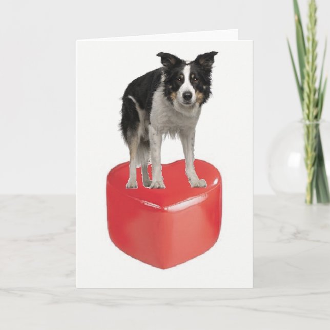 Cartão De Festividades Border Collie On Heart Valentine's Day Card (Frente)