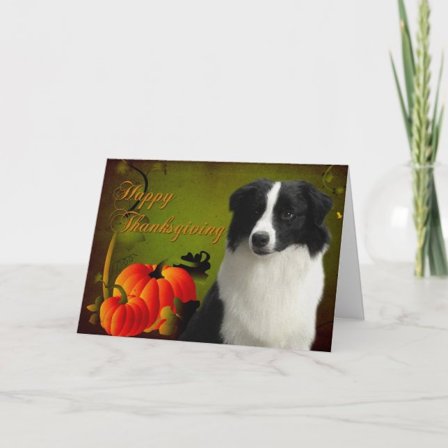 Cartão De Festividades Border Collie Thanksgiving Card (Frente)