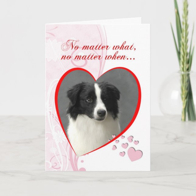 Cartão De Festividades Border Collie Valentine (Frente)