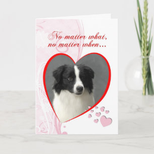Cartão De Festividades Border Collie Valentine