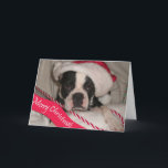 Cartão De Festividades Boston Terrier Christmas Card<br><div class="desc">Christmas card with a Boston Terrier wishing you a Merry Christmas.  Text inside card may be personalized to your liking.</div>