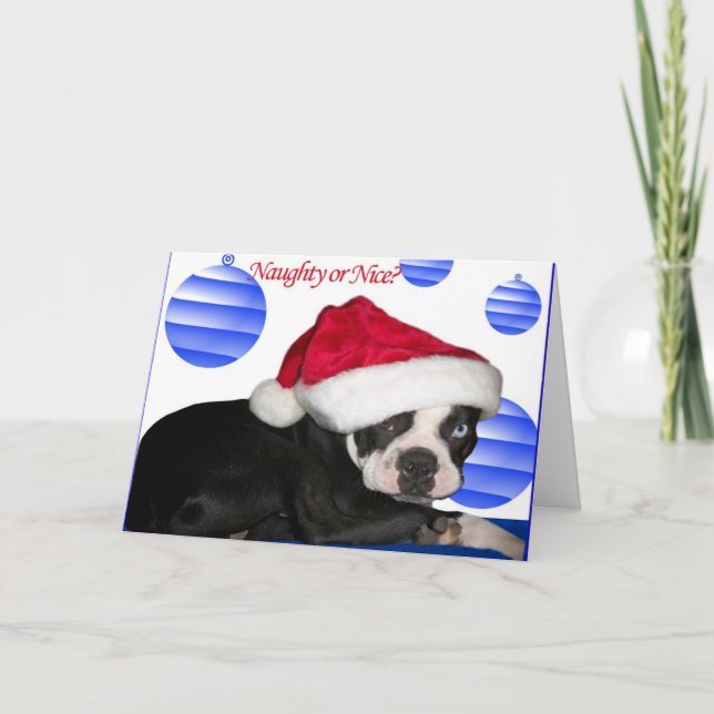 Cartão De Festividades Boston Terrier Christmas Card (Frente)