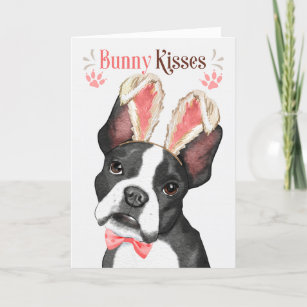 Cartão De Festividades Boston Terrier em Bunny Ears para Páscoa