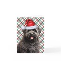 Bouvier Christmas Dog Green Red Xadrez Natal