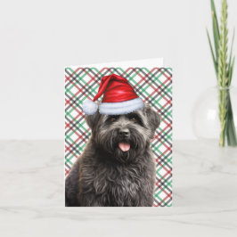 Cartão De Festividades Bouvier Christmas Dog Green Red Xadrez Natal