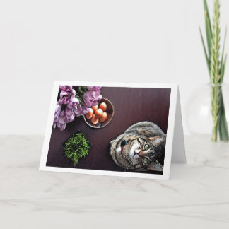 Cartão De Festividades Bowl of eggs. Snapshot 2