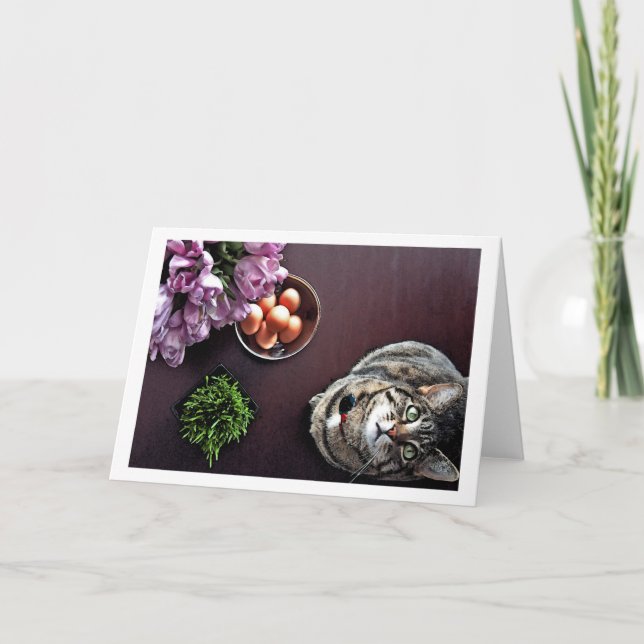 Cartão De Festividades Bowl of eggs. Snapshot 2 (Frente)