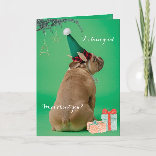 Cartão De Festividades Boxer Boxer Christmas I've Good Folded Card (O Nat (Frente)