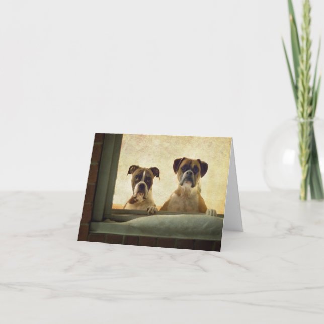 Cartão De Festividades Boxer Dog Note Card - Christmas or Greeting Card (Frente)