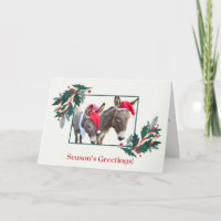 Boxer e Benjamin desejam um bom feriado!