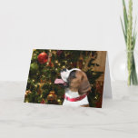 Cartão De Festividades Boxer Natal<br><div class="desc">O cão de boxe branco e Fawn olha para um ornamento vermelho na árvore de Natal e considera-o o melhor presente de Natal de todos os cães que ama o cartão de cartões de natal de Natal</div>