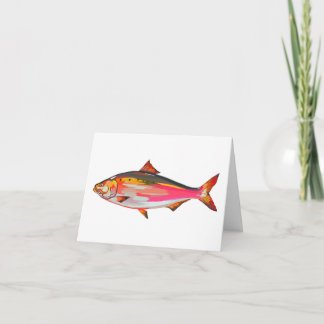 Cartão De Festividades Bright, colourful fish greetings card