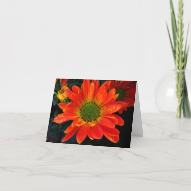 Cartão De Festividades Bright Orange Mums Note Card (Frente)