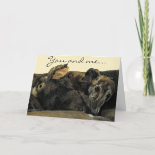 Cartão De Festividades Brindle Greyhound & Bunny Valentine's Day card