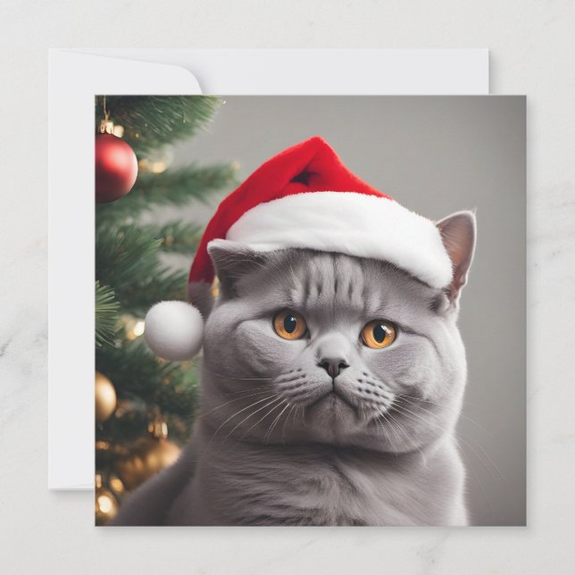 Cartão De Festividades British Shorthair Christmas (Frente)